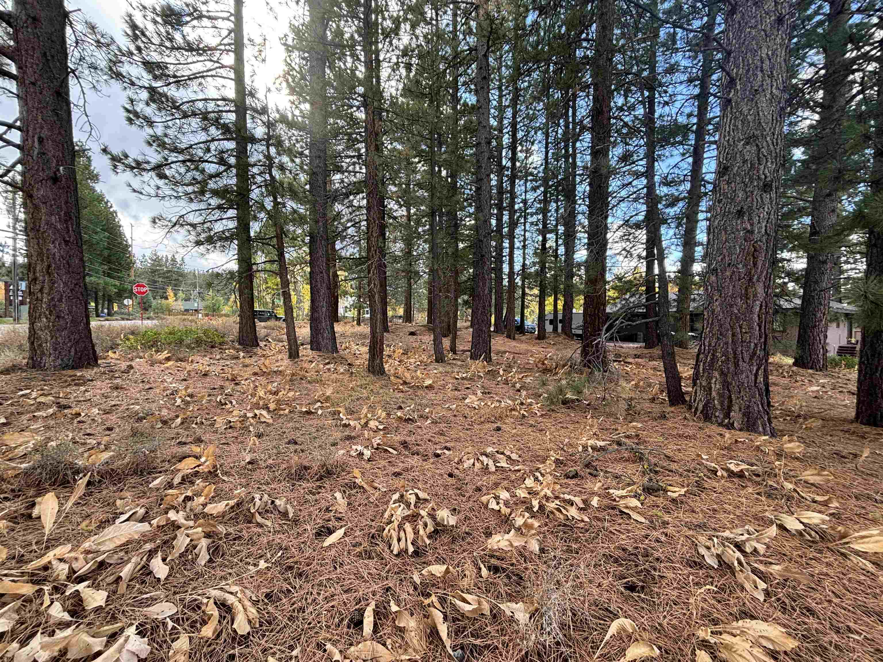 MLS #20242248 image #2