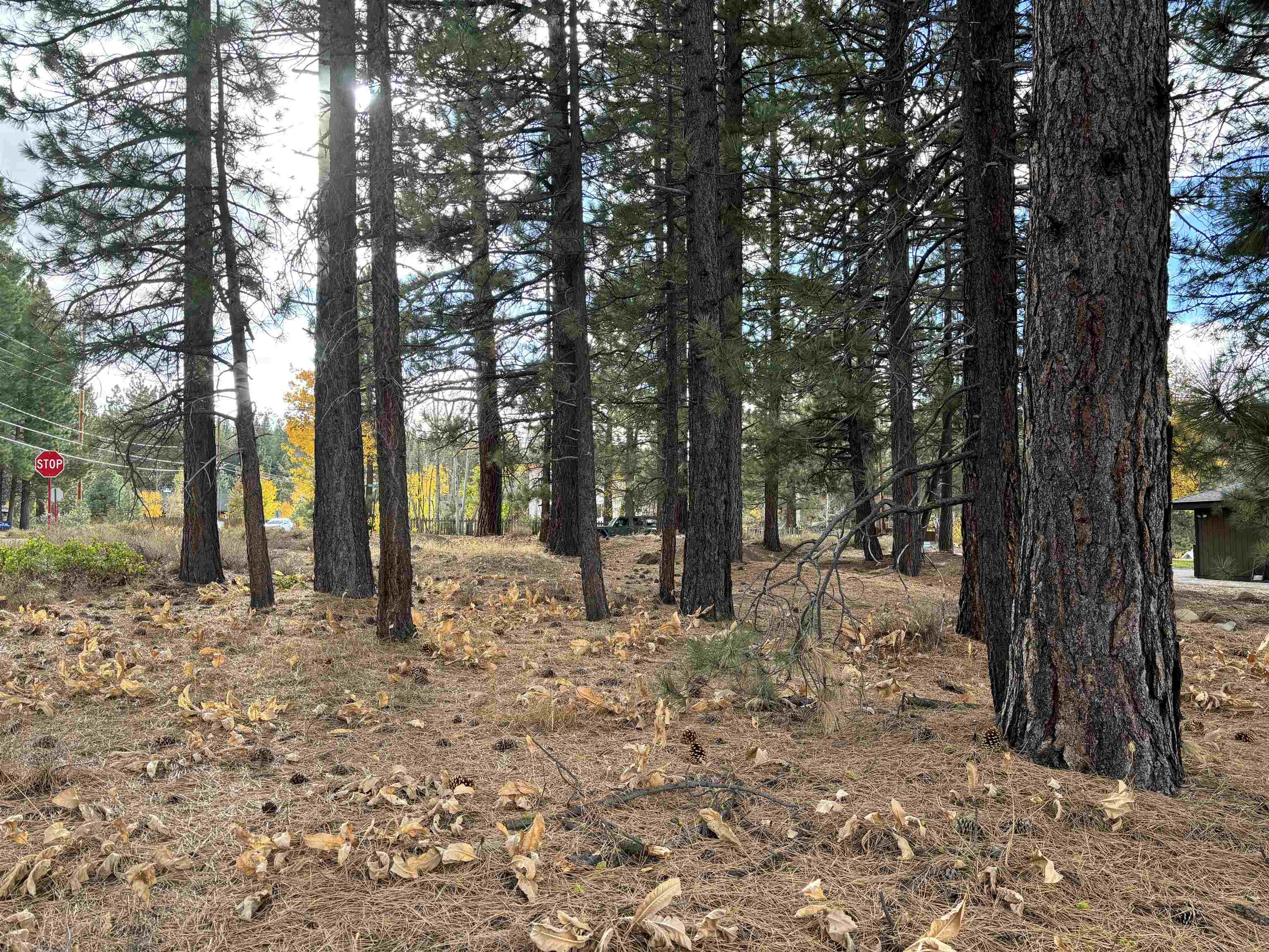 MLS #20242248 image #4