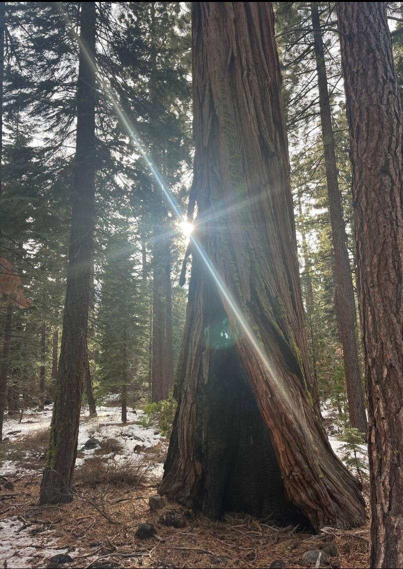 MLS #20242360 image #19