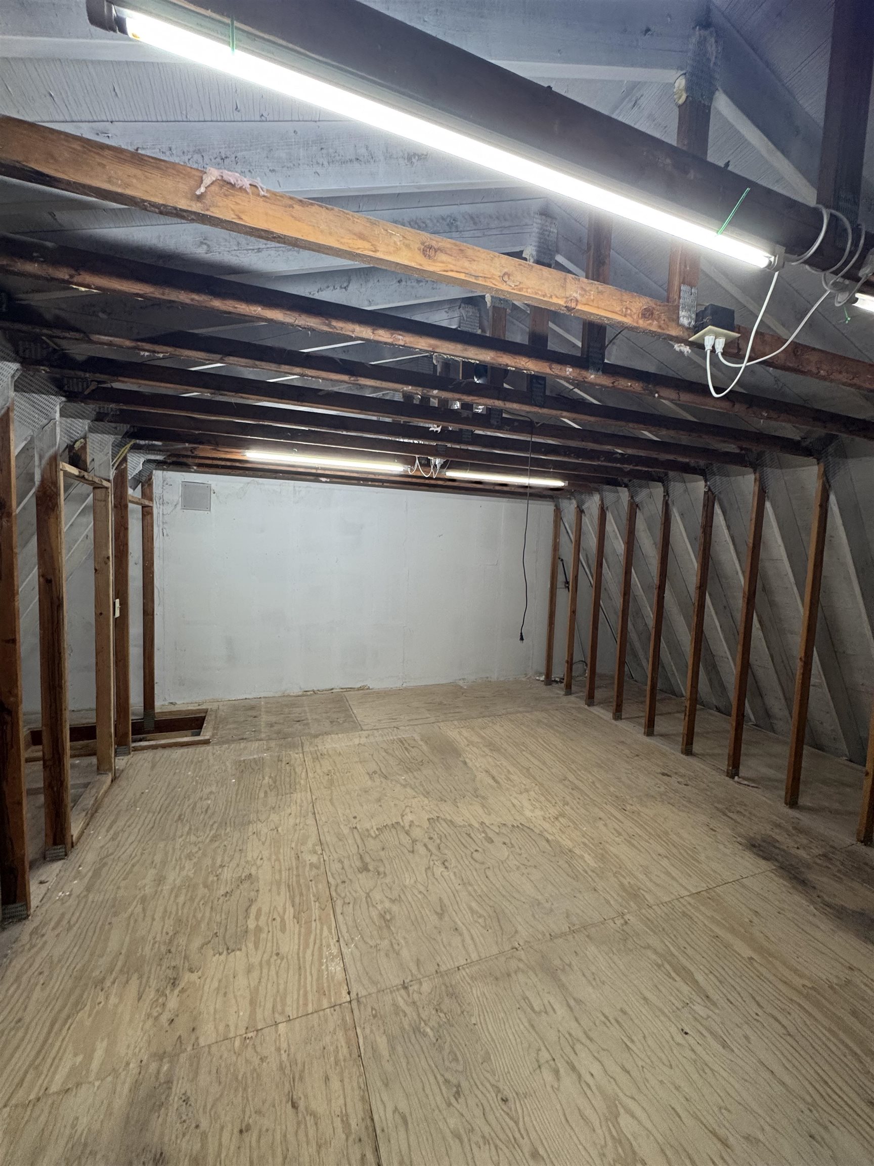 MLS #20242404 image #18