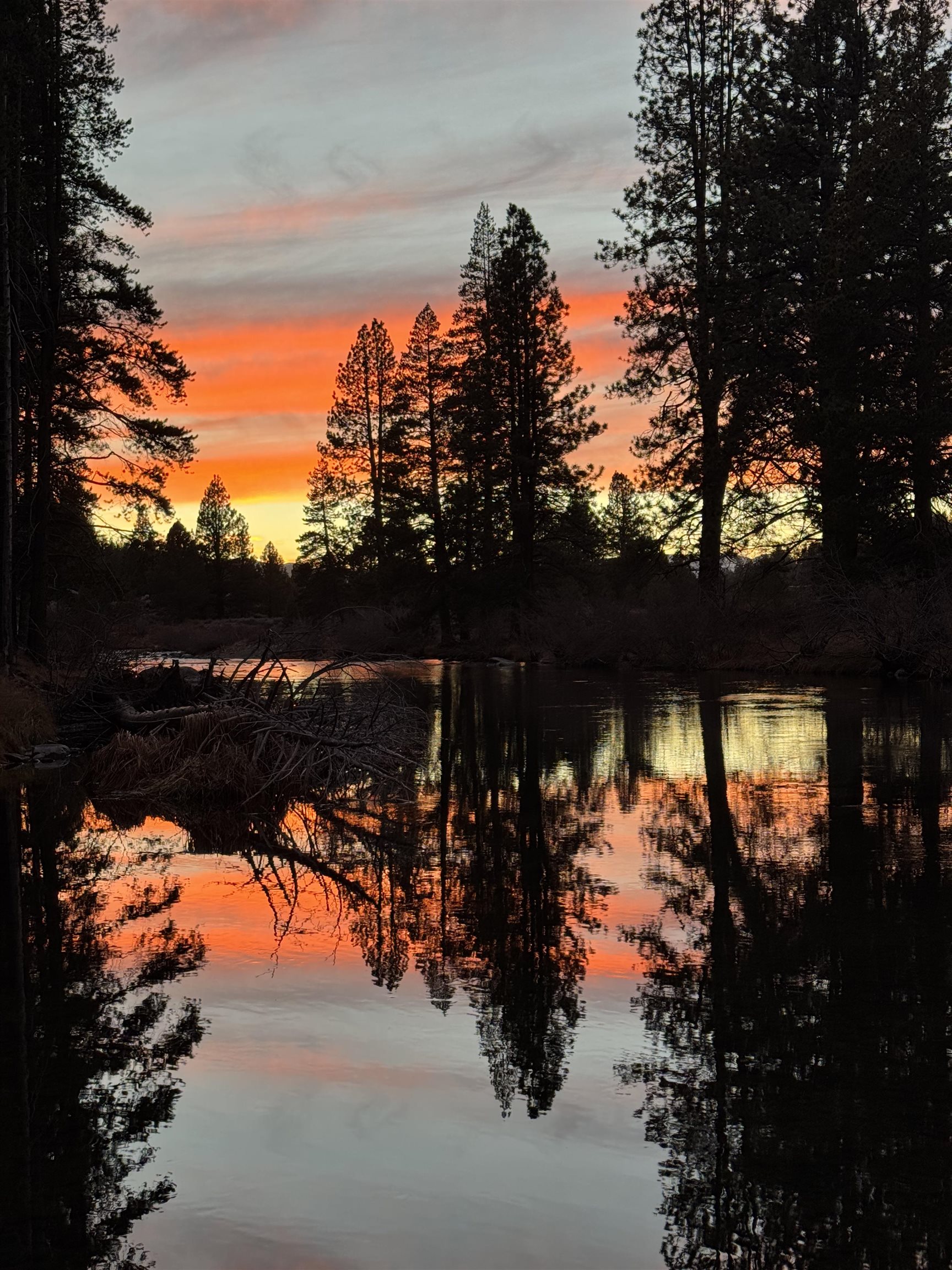 MLS #20242404 image #19