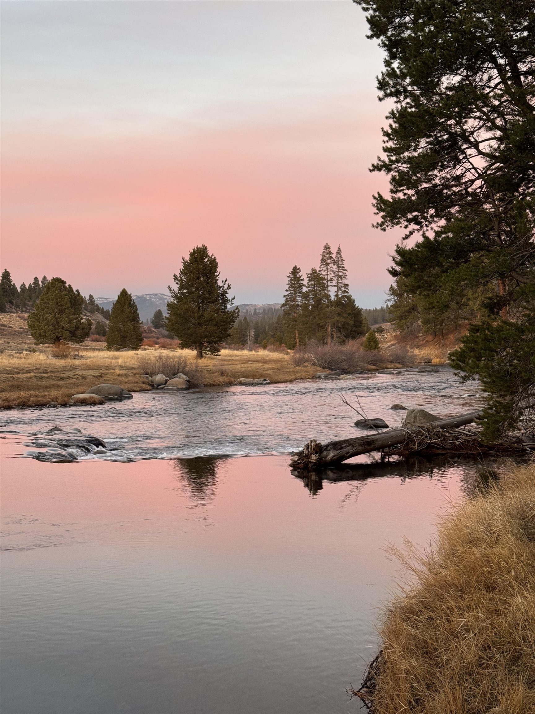 MLS #20242404 image #20