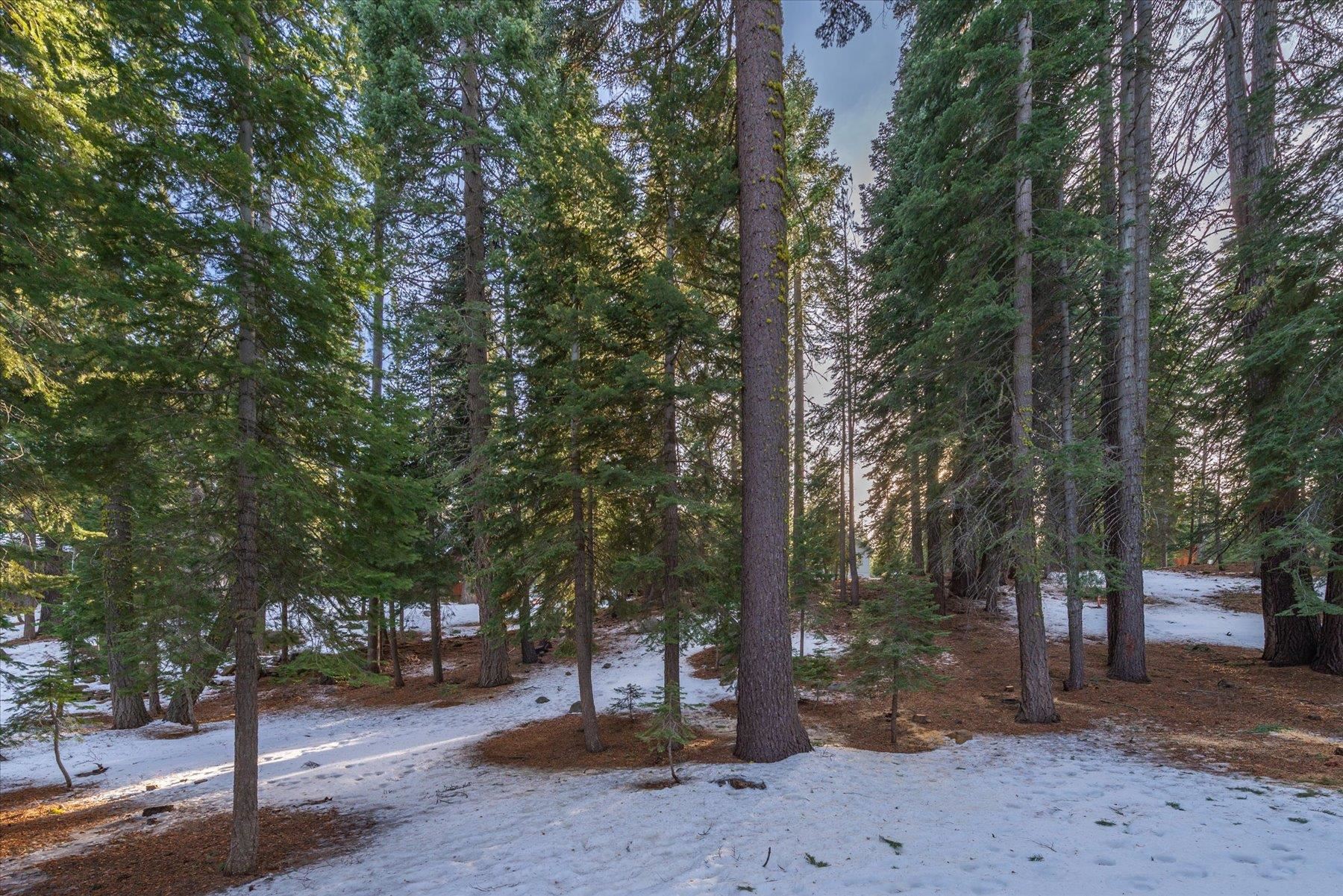 MLS #20242427 image #26