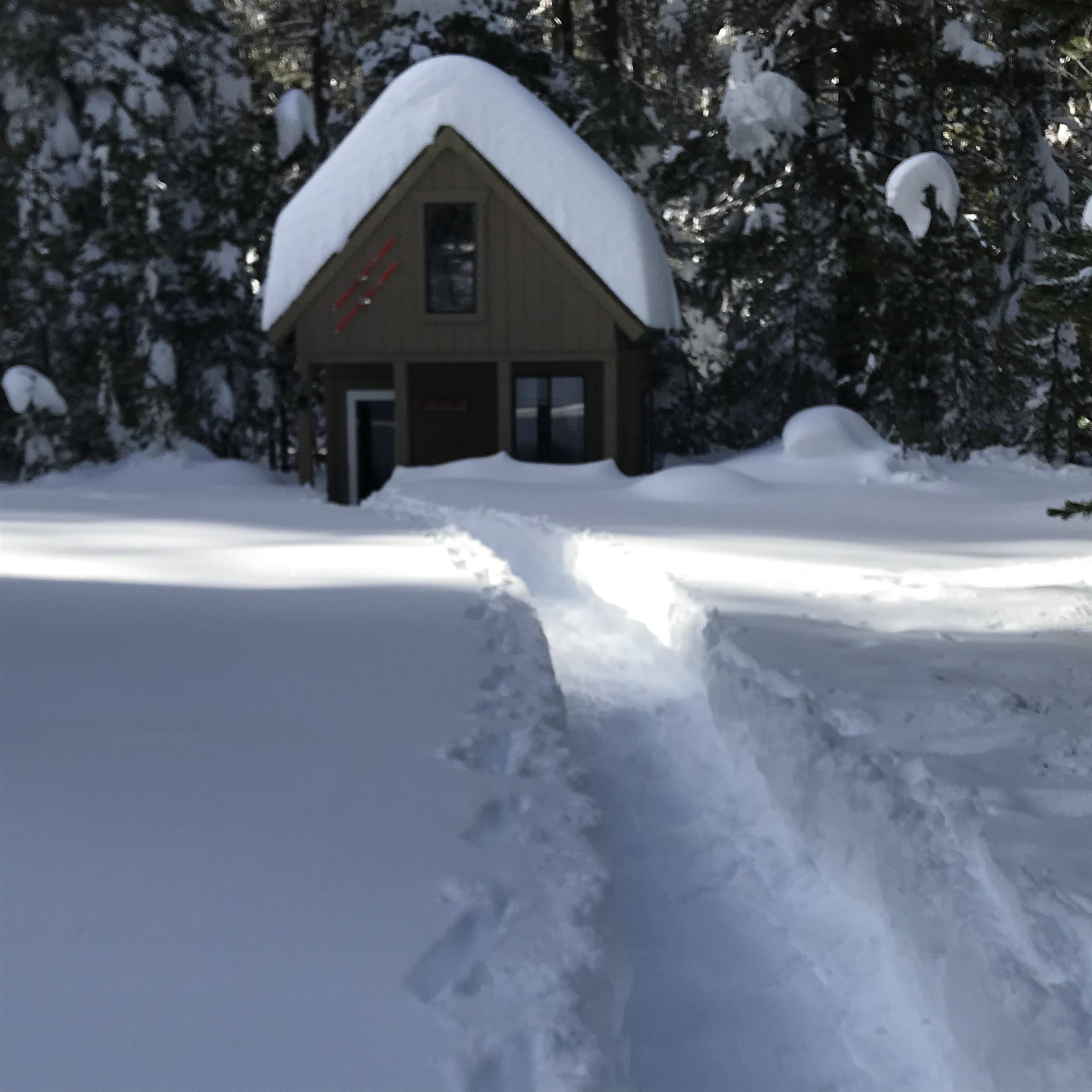 Listing Thumbnail #1